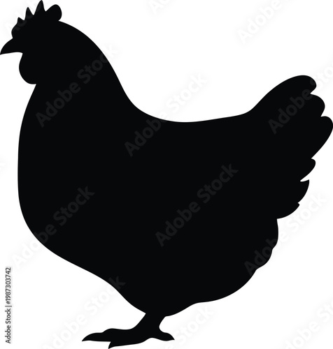 Silhouette of a Chicken Standing Proudly.