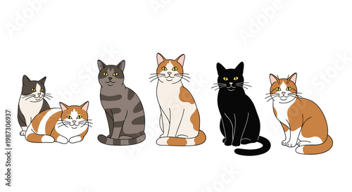 Diverse group of domestic cats with different coat colors and patterns sitting in a row for pet related designs.