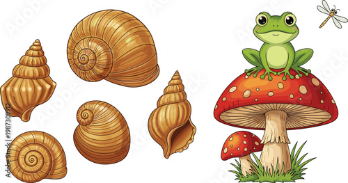 Detailed Illustrated Frog on Red Toadstool Mushroom with Snail Shells and Dragonfly Forest Nature Vector Set