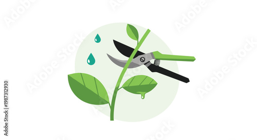 Sharp green and black pruning shears are meticulously cutting through a vibrant green plant stem against a soft light green circular background motif.