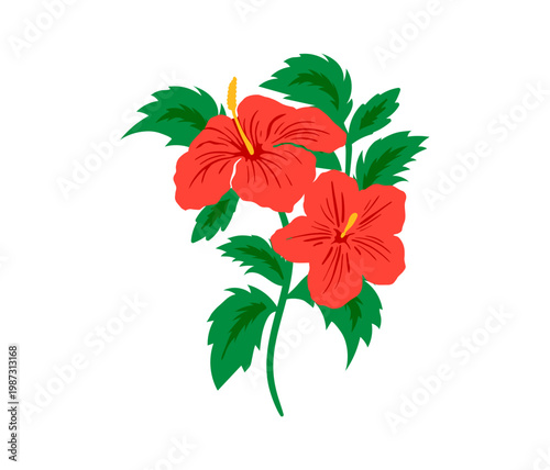 Colorful tropical hibiscus vector flower. Floral illustration decal, decor, clipart, poster, sticker, template. Flower with green leaves 