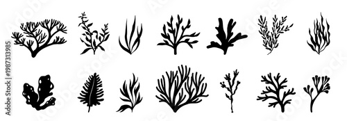 Black coral template design silhouette vector. Underwater ocean coral, plants, leaves, algae and branches. Save the water. 