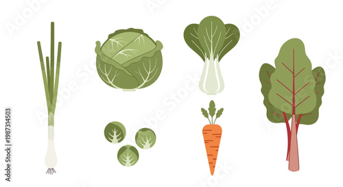 Fresh Vegetables Collection Healthy Food Assortment