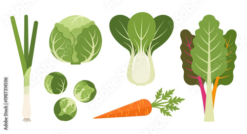 Fresh Green Vegetables Assortment Healthy Food Collection