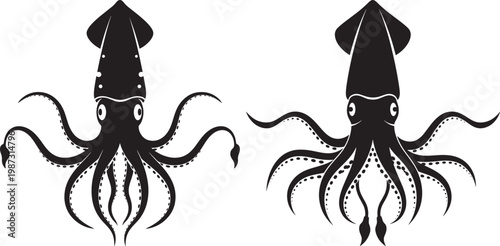 Two silhouette squids with tentacles spread sea creature marine life black and white deep sea monster vector art line drawing tentacle underwater silhouette illustration wildlife