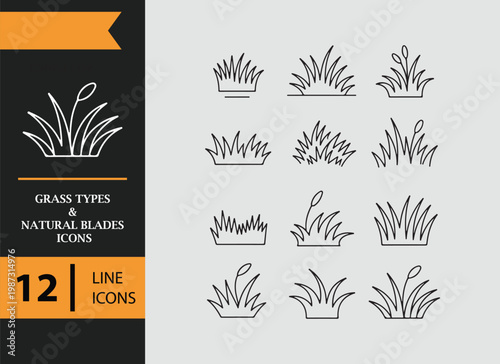Grass Types Natural Blades Outline Icons Botanical Variety Set