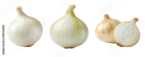 White onion bulbs set isolated on transparent background for culinary recipe and grocery marketing.