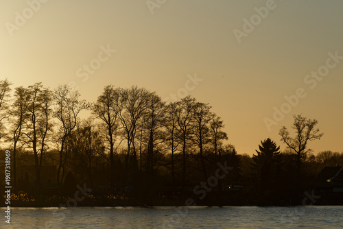 Schweriner See sunset illuminating trees line silhouette