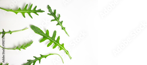 Fresh arugula leaves on white background with copy space, minimal healthy food concept