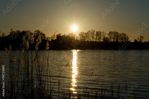 Schweriner See sunset light reflecting on reeds and water