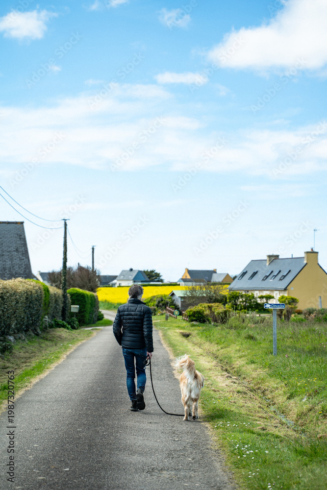 Fototapeta premium Homme seul de dos promenant un labrador sur une petite route du Finistère en France