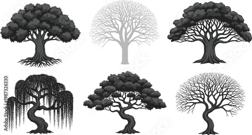 Beautiful variety of diverse tree silhouettes including oak willow and bonsai styles for landscape design and environment.
