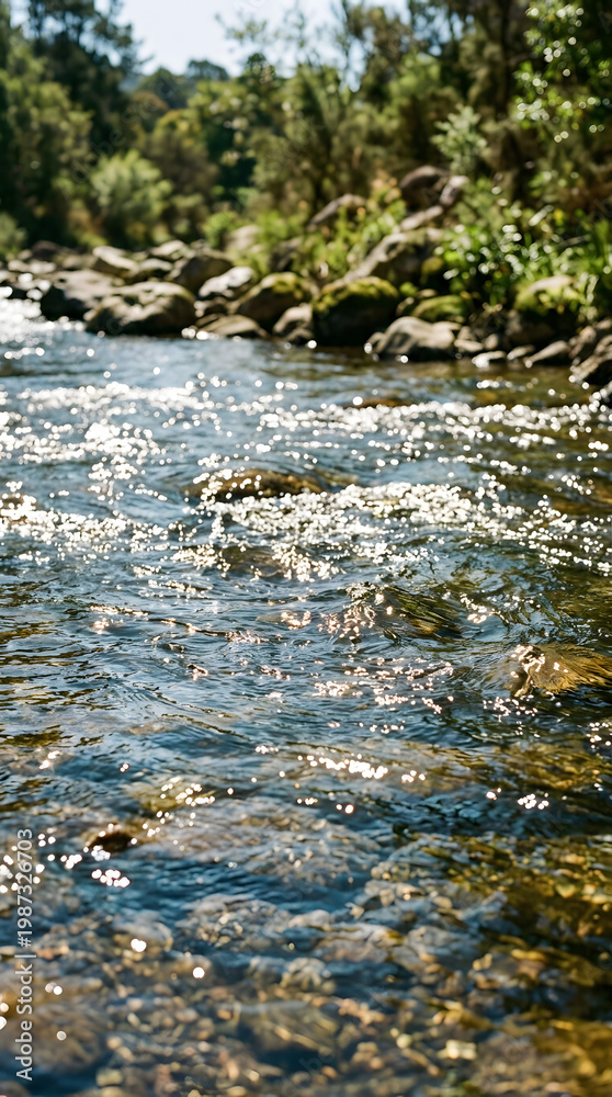 Fototapeta premium Serene River Flowing Through Forest