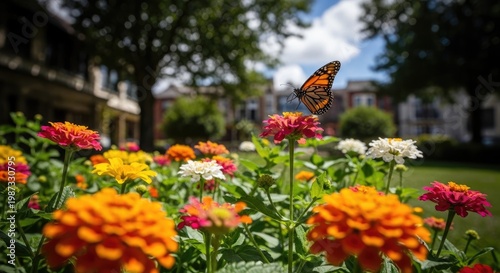 A vibrant garden scene with a monarch butterfly resting on a flower