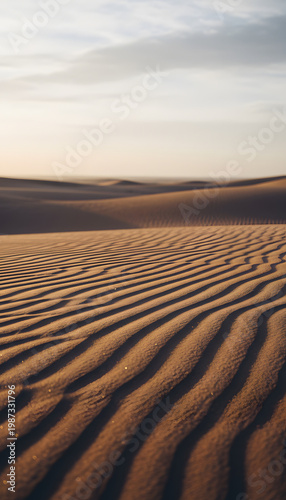 Desert Sand Dunes at Sunset