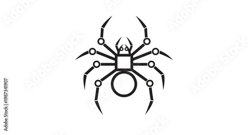 black spider isolated on white background