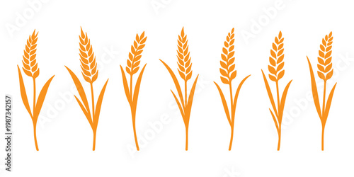 Wheat and rye ears, barley rice grains, beer logo elements, organic agriculture food, golden heraldic shapes, vector illustration isolated, natural farming symbols 