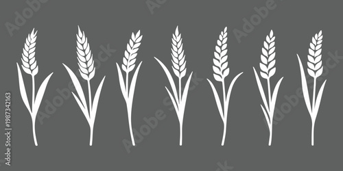 Wheat and rye ears, barley rice grains, beer logo elements, organic agriculture food, golden heraldic shapes, vector illustration isolated, natural farming symbols 