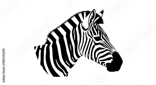 Detailed black and white illustration of a zebra's head with prominent stripes, showcasing its unique pattern and profile.