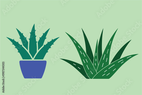 Aloe vera plant flat vector illustration of green succulent leaves in blue flowerpot and organic desert botanical herb