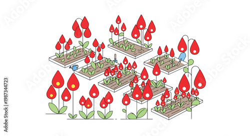 Garden beds with red tulips and watering cans illustration isolated on white background