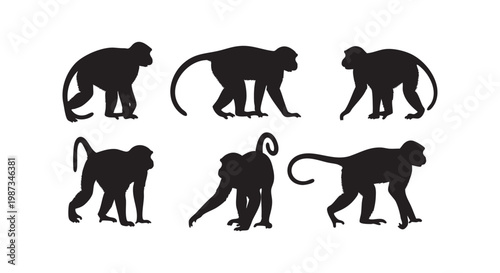 Monkey silhouette set featuring diverse poses of primates walking and standing for wildlife and nature educational design.