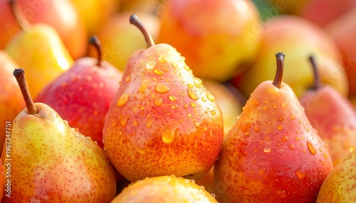 A close-up shot showcases ripe, glistening pears. Their vibrant red and yellow skin is adorned with water droplets, a sign of freshness