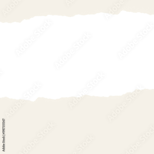 A torn piece of black paper on a white background with a rough edge