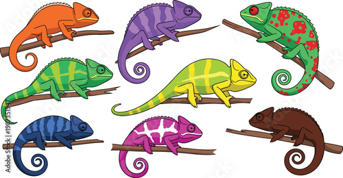 Colorful Chameleon Collection with Various Exotic Lizard Species Perched on Branches Isolated on White
