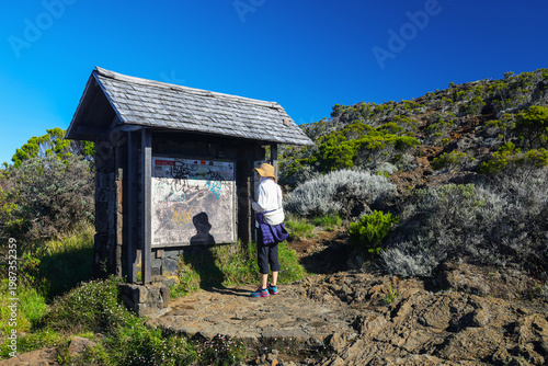 Принти на полотні Scenic landscape of Piton de la Fournaise (Peak of the Furnace) 2632m, a shield volcano on the eastern side of Reunion island in the Indian Ocean and one of the most active volcanoes in the world