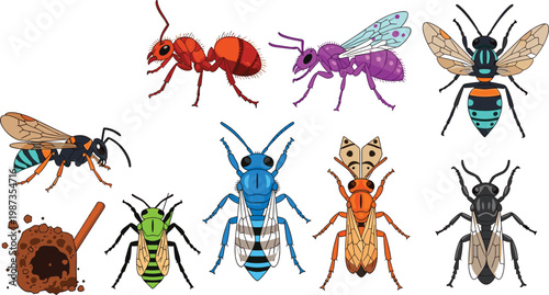 Colorful Insect Collection with Various Ant Wasp and Bee Species Isolated on White
