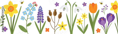 Colorful Spring Garden Flower Border with Daffodil, Tulip, Crocus, Hyacinth, Snowdrop, and Bees Botanical Nature Vector Illustration
