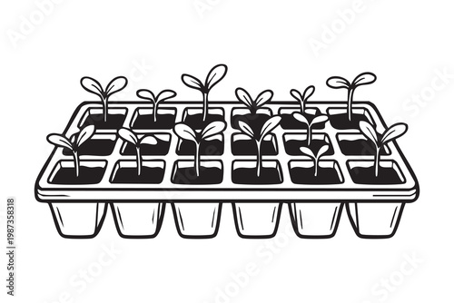 Seedling tray with young sprouts, monochrome illustration of microgreens propagation for urban farming, minimalist nursery setup showing individual cells, moist soil texture, tiny cotyledons