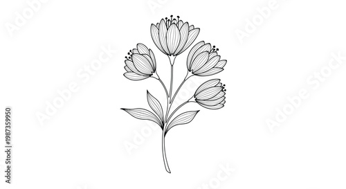 Simple and elegant line art drawing shows a single branch with three detailed flowers and several leaves on a white background.