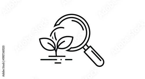 Magnifying glass examines a small plant.