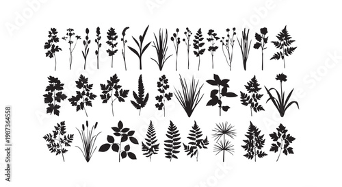 Wild meadow plants and grass silhouettes collection for nature environment design and botanical landscape vector elements.