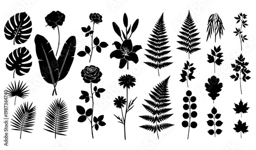 Flower and leaves silhouettes vertical vector set with botanical floral categories