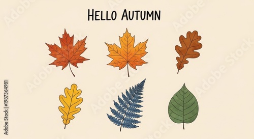 Hand-drawn autumn leaves collection with hello autumn text on white background