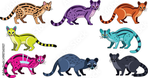 Colorful Viverrid Collection with Various Exotic Civet and Genet Species Isolated on White