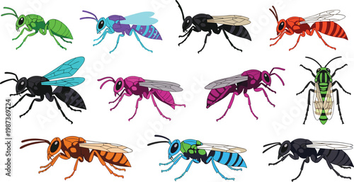 Colorful Wasp and Bee Collection with Various Exotic Stinging Insect Species Isolated on White