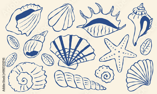 Seashells and starfish illustrated in blue ink on cream paper. Coastal life depicted with delicate outlines and classic styles. Each shell unique - spiraled, fan-shaped, or elongated