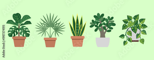 Modern Indoor Potted Plants Collection for Home Interior Decoration, Monstera, Palm, Snake Plant and Succulent Greenery Vector Illustration