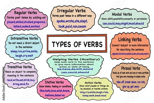 Colorful educational infographic illustrating types of English verbs including regular, irregular, modal, linking, transitive, intransitive, stative, action, phrasal, and helping verbs for learning