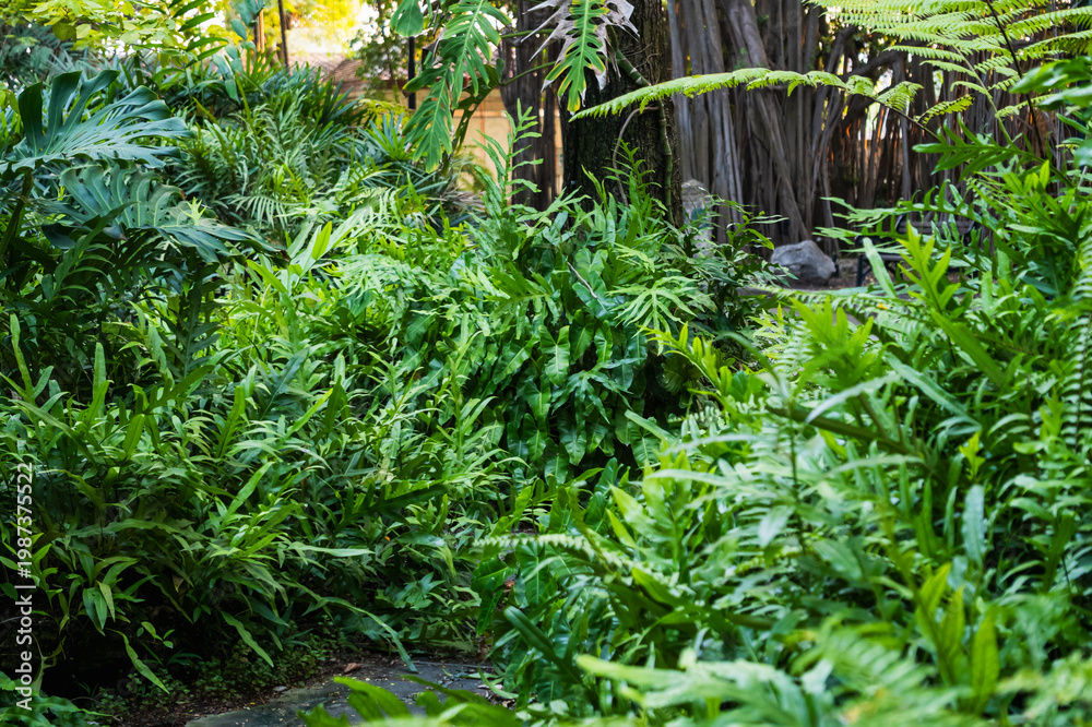 Naklejka premium Lush green foliage a close-up exploration of vibrant tropical gardens and natural serenity