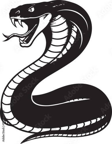 Menacing Cobra Snake Coiled With Open Fangs And Tongue Vector