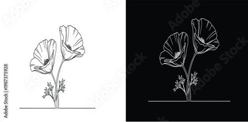 Vintage botanical illustration of a cactus with detailed line work and black background