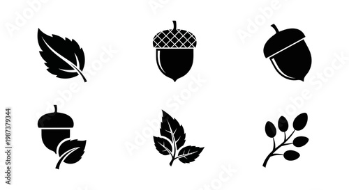 Black and white autumn leaves and acorns vector icons set for fall season graphic design elements and symbols