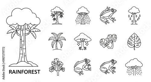 Rainforest Nature Outline Icons. Tropical Trees, Exotic Frogs, and Plants Vector Collection for Ecosystem Design.