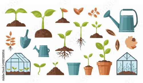 Seeds and seedlings gardening vector illustration set with farm greenhouse and plant growth elements