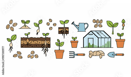 Minimal seeds and plant growth collection with gardening greenhouse and farming vector elements